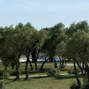 Cadre Splendide , Paradou France